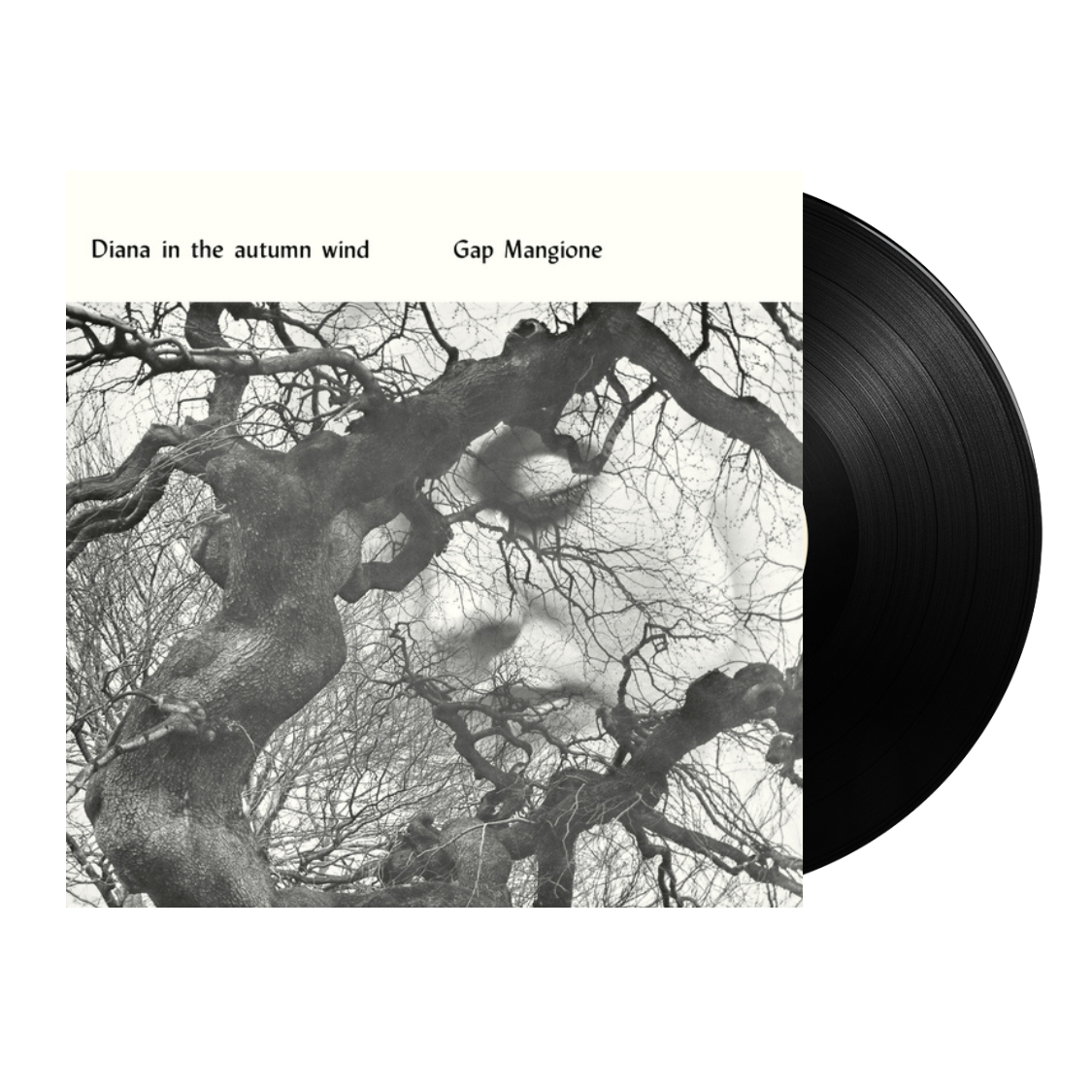 Gap Mangione - Diana In The Autumn Wind (Vinyl LP) Gap Mangione - Diana In The Autumn Wind (Vinyl LP)