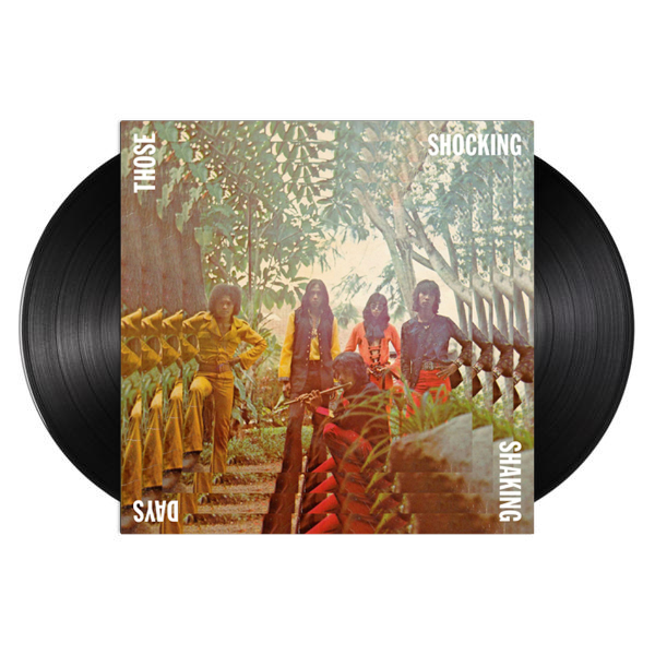 Various Artists - Those Shocking Shaking Days (Vinyl 2xLP) Various Artists - Those Shocking Shaking Days (Vinyl 2xLP)