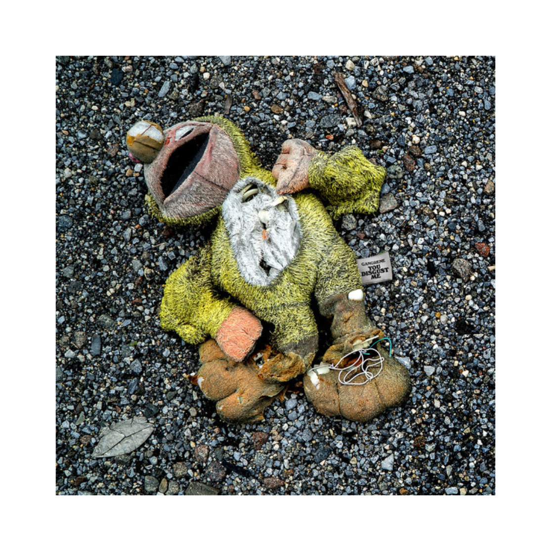 洋楽 gangrene you disgust me clear vinyl 2lp youdisgustme_1.png?v=1739931065