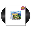 TEMPLE NEEDS WATER. VILLAGE NEEDS PEACE. (2xLP)