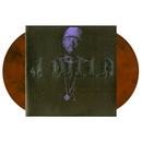 The Diary (Colored 2xLP)