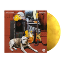 Vinyl record with a dog and guitars on the cover, featuring 'Life of Grime' and 'Quality Junk' text.