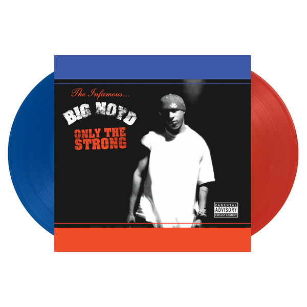 BIG BOYS レコード 未使用品 limited color vinyl BIG BOYS- Fun Fun Fun/ Frat Cars 12