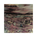 Album cover with desert landscape, skull, and camera, featuring text 'Earth Rot David Axelrod'.