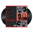 In Our Lifetime (2xLP)