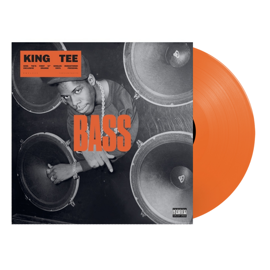 King Tee Life 1994 MCA レコード　1lp kingteeBass_1100x.png?v=1706564519