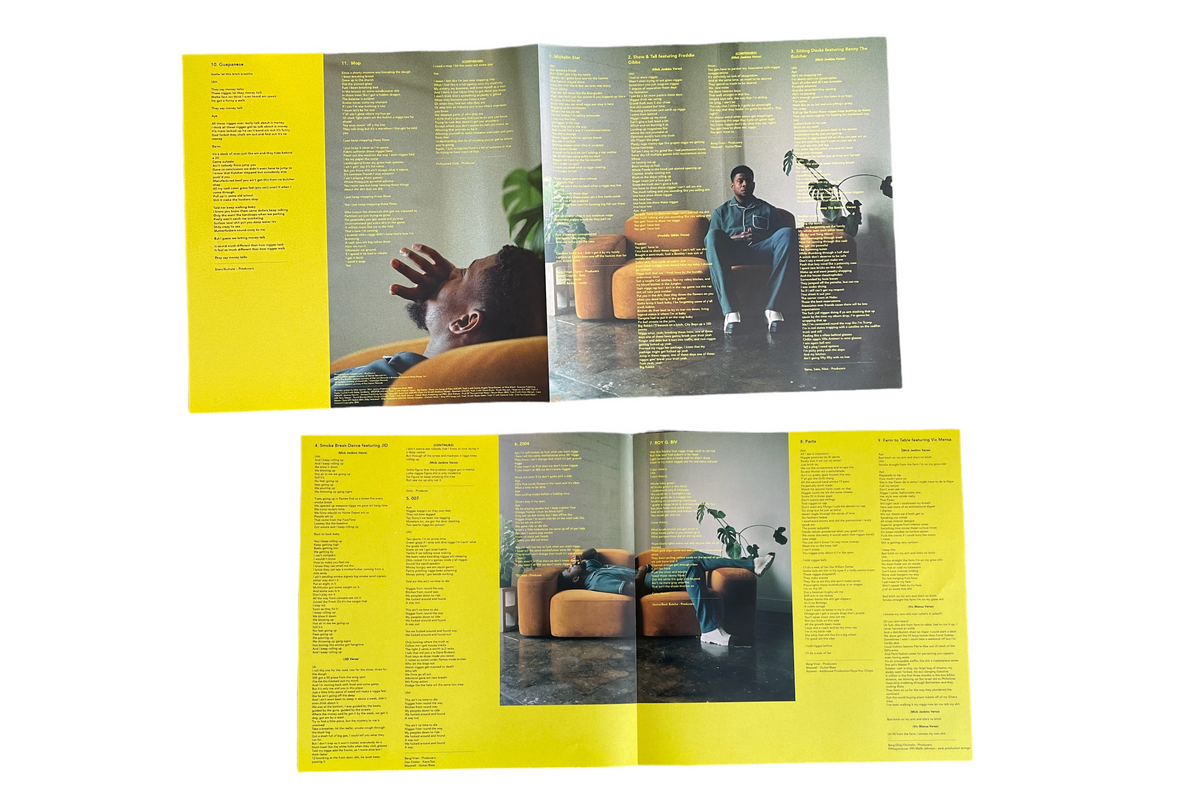 Mick Jenkins - The Patience (Vinyl LP)