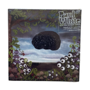 Album cover art for Paul White's 'and the purple brain', featuring a dark purple brain floating in a surreal landscape with purple eyeball flowers and a cloudy sky. The text 'Paul White and the purple brain' is visible in the upper right.