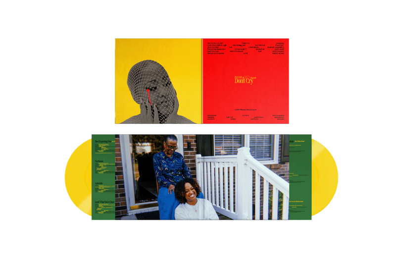 Please Don't Cry (Colored 2xLP)