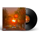 No Vi$ible Means of Income 3 (LP)