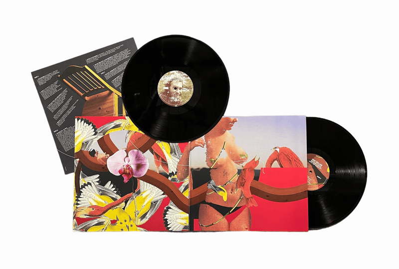 Mac Miller: Watching Movies With The Sound Off Vinyl 2LP —