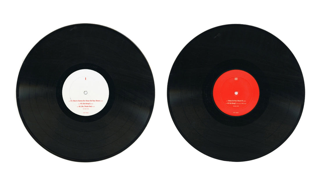 Dinosaur L - 24x24 Music (Vinyl Box Set)