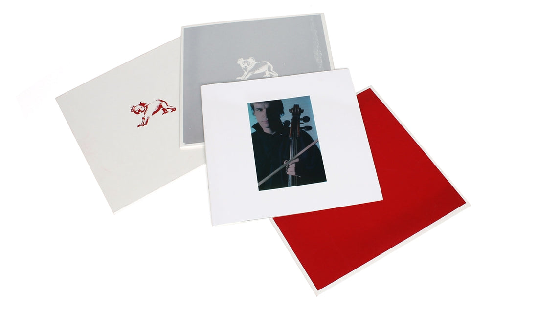 Dinosaur L - 24x24 Music (Vinyl Box Set)