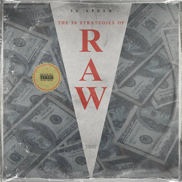 The 38 Strategies Of Raw (CD)