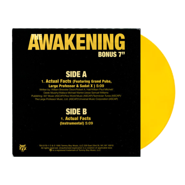 The Awakening 25th Anniversary (Colored 2xLP+7-inch)