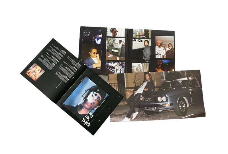 A$AP Rocky - At. Long. Last. A$AP (Vinyl LP) A$AP Rocky - At. Long. Last. A$AP (Vinyl LP)