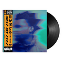 Melt My Eyez See Your Future (LP)